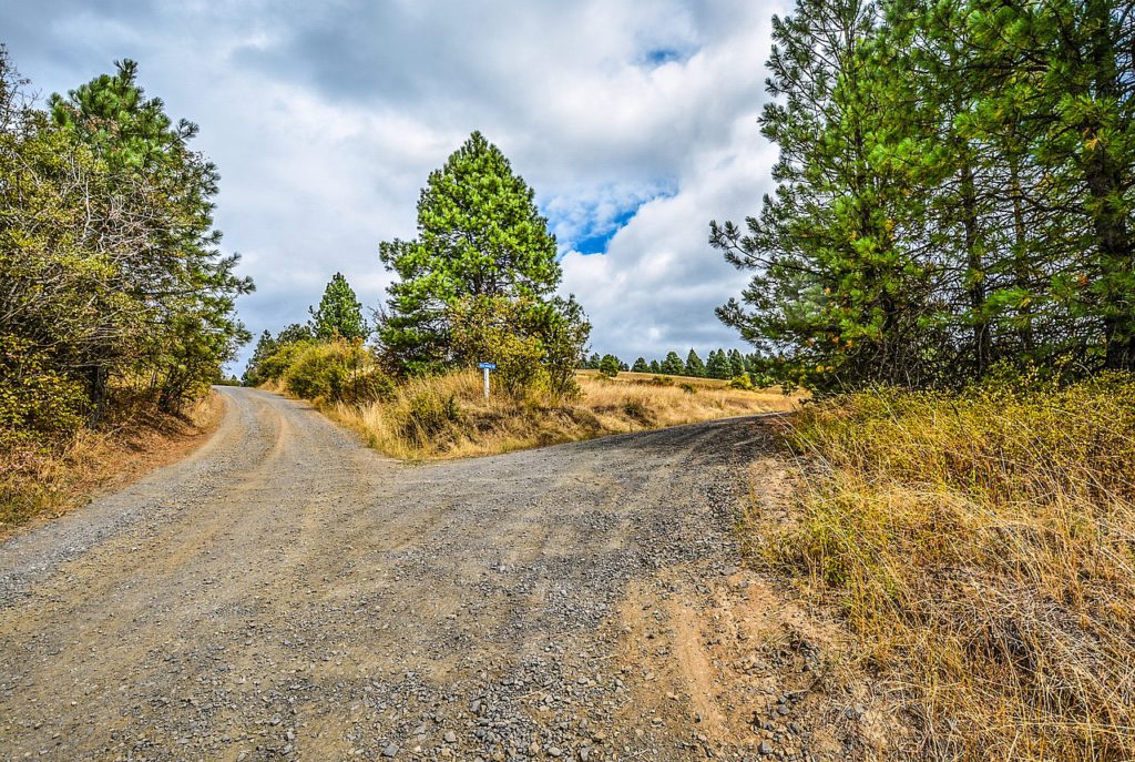 fork-in-the-road